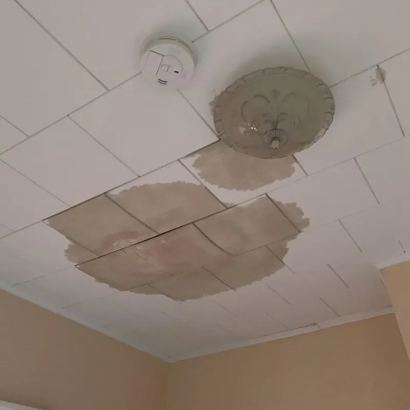 Ceiling Water Damage Repair in Delaware, OH