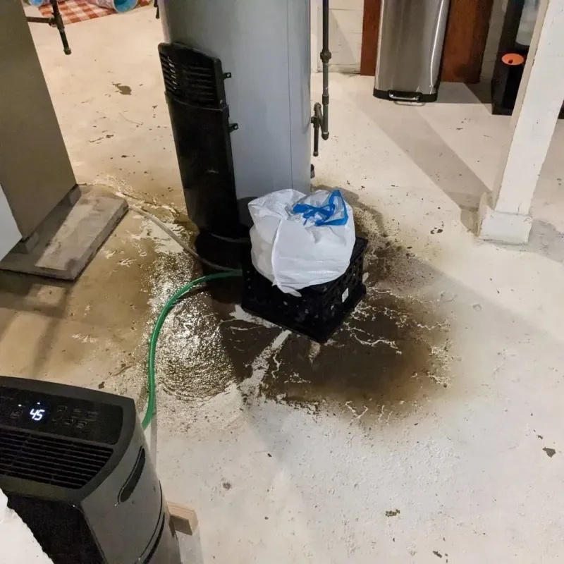 Sewage Backup Cleanup Service in Delaware, OH